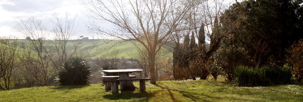 Agriturismo Castello Saltemnano Villa Buonconvento Exterior foto