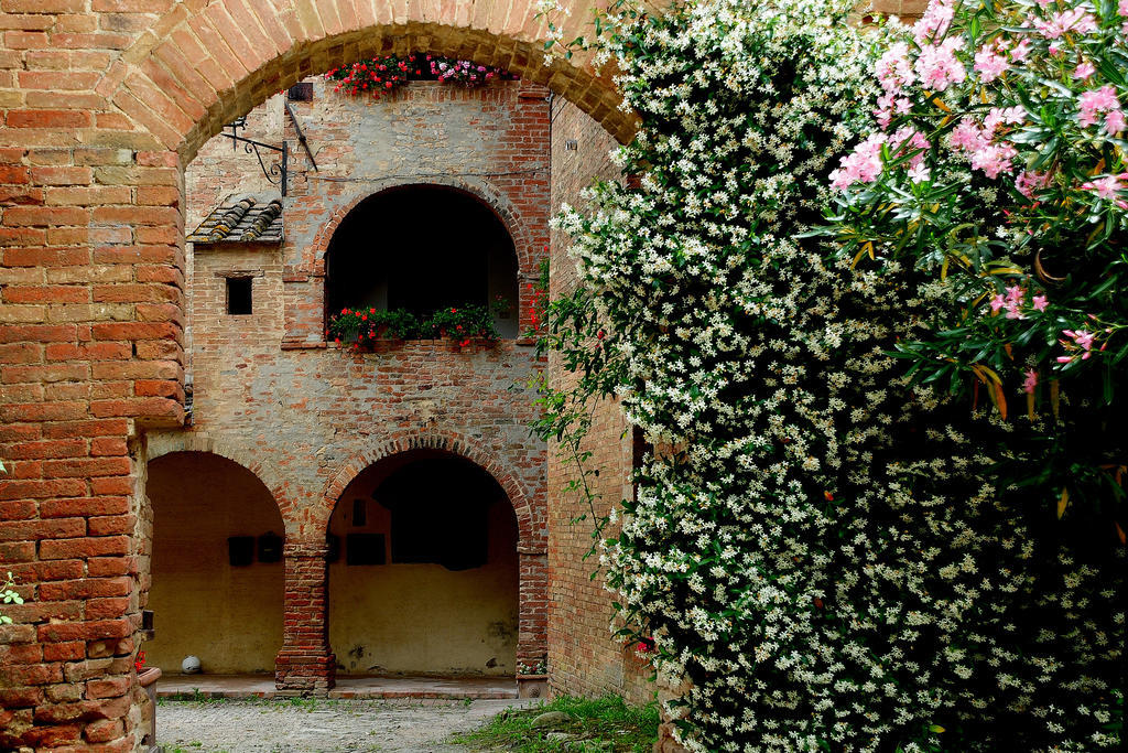 Agriturismo Castello Saltemnano Villa Buonconvento Exterior foto