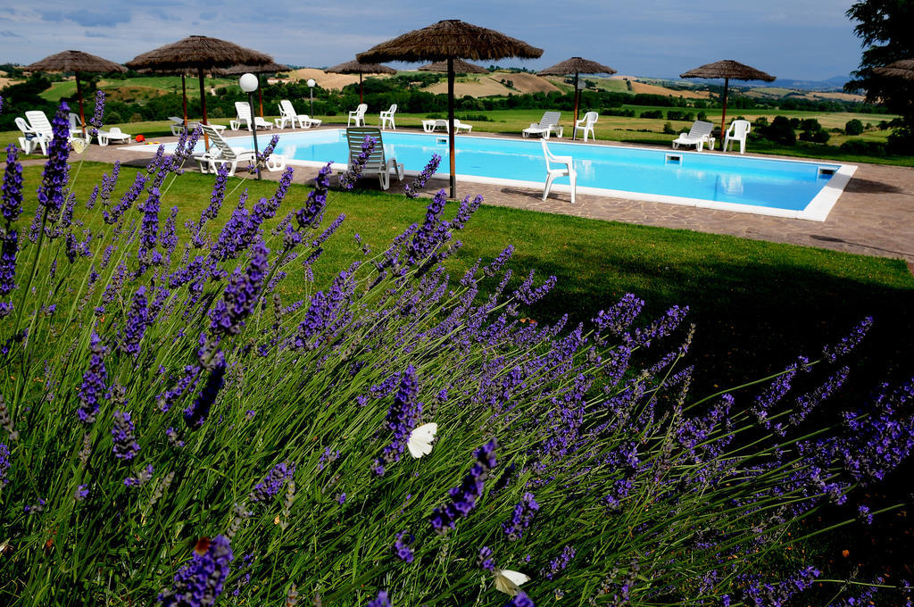 Agriturismo Castello Saltemnano Buonconvento Exterior foto