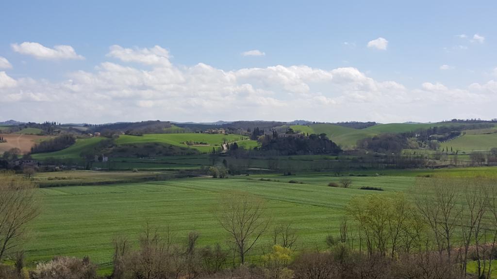 Agriturismo Castello Saltemnano Villa Buonconvento Exterior foto