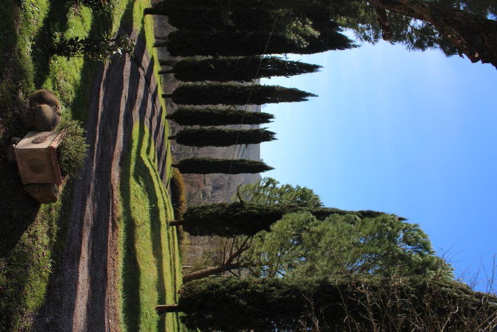 Agriturismo Castello Saltemnano Villa Buonconvento Exterior foto